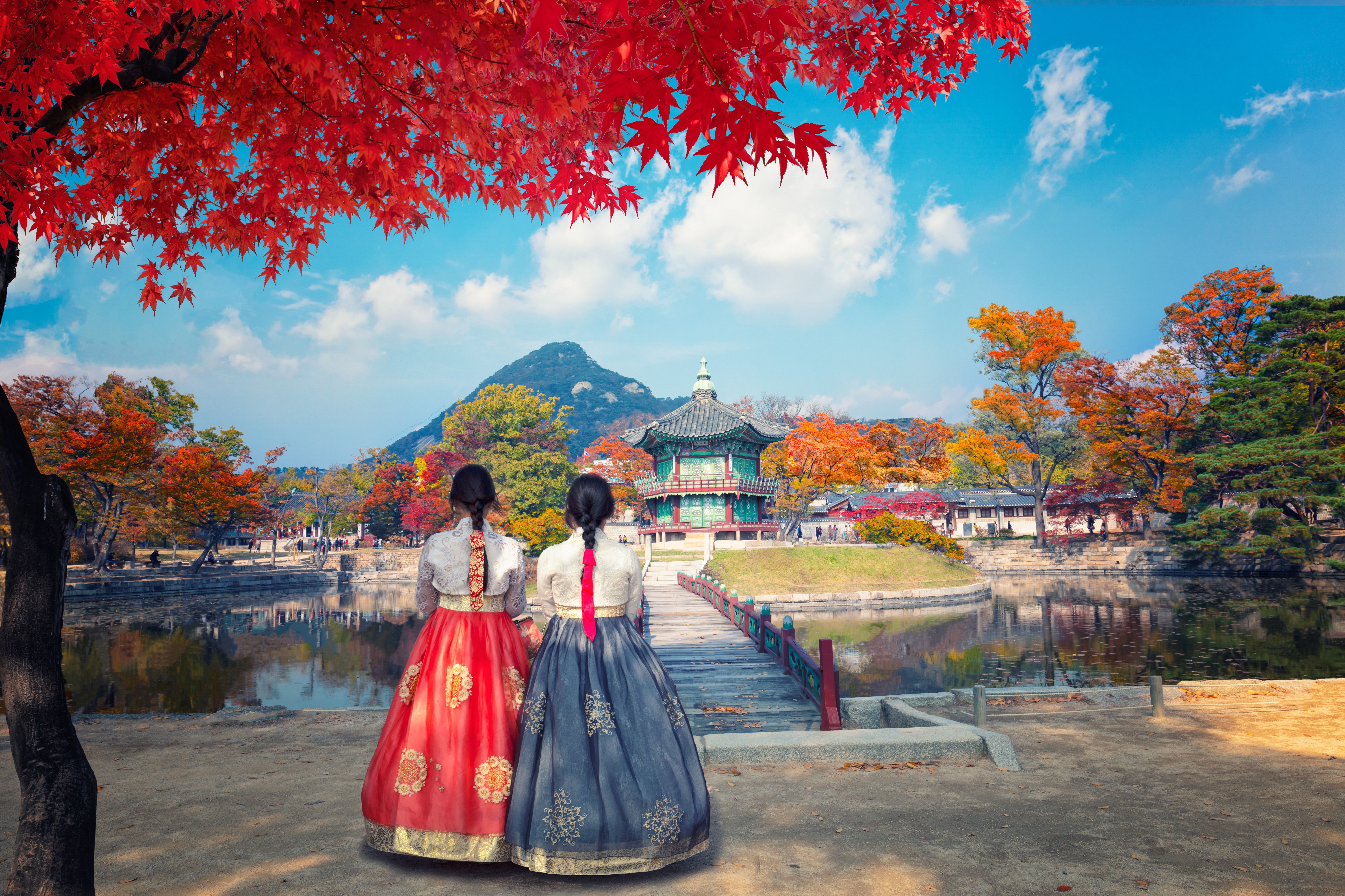 Study in South Korea